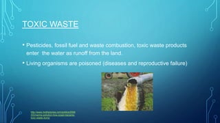 TOXIC WASTE
• Pesticides, fossil fuel and waste combustion, toxic waste products
enter the water as runoff from the land.
• Living organisms are poisoned (diseases and reproductive failure)
http://www.motherjones.com/politics/2006
/03/marine-pollution-how-ocean-became-
toxic-waste-dump
 