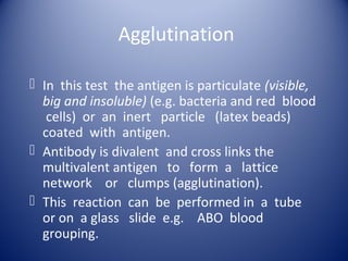 Agglutination 
 In this test the antigen is particulate (visible, 
big and insoluble) (e.g. bacteria and red blood 
cells) or an inert particle (latex beads) 
coated with antigen. 
 Antibody is divalent and cross links the 
multivalent antigen to form a lattice 
network or clumps (agglutination). 
 This reaction can be performed in a tube 
or on a glass slide e.g. ABO blood 
grouping. 
 