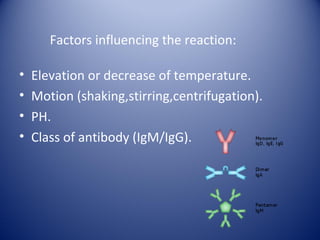 Factors influencing the reaction: 
• Elevation or decrease of temperature. 
• Motion (shaking,stirring,centrifugation). 
• PH. 
• Class of antibody (IgM/IgG). 
 