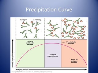 Precipitation Curve 
 