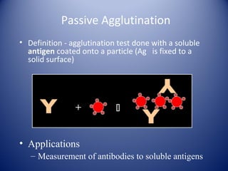 Passive Agglutination 
• Definition - agglutination test done with a soluble 
antigen coated onto a particle (Ag is fixed to a 
solid surface) 
+  
• Applications 
– Measurement of antibodies to soluble antigens 
 