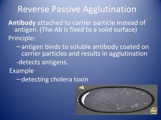 Reverse Passive Agglutination 
Antibody attached to carrier particle instead of 
antigen. (The Ab is fixed to a solid surface) 
Principle: 
– antigen binds to soluble antibody coated on 
carrier particles and results in agglutination 
-detects antigens. 
Example 
– detecting cholera toxin 
 