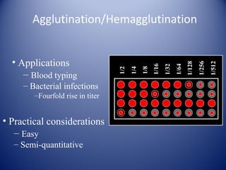 Agglutination/Hemagglutination 
• Applications 
– Blood typing 
– Bacterial infections 
–Fourfold rise in titer 
• Practical considerations 
– Easy 
– Semi-quantitative 
1/2 
1/4 
1/8 
1/16 
1/32 
1/64 
1/128 
1/256 
1/512 
 