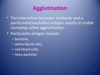 Agglutination 
• The interaction between antibody and a 
particulate(Insoluble) antigen results in visible 
clumping called agglutination. 
• Particulate antigen include: 
– bacteria, 
– white blood cells, 
– red blood cells, 
– latex particles 
7 
 