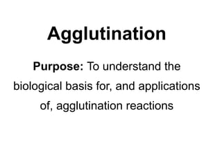 Agglutination
   Purpose: To understand the
biological basis for, and applications
     of, agglutination reactions
 