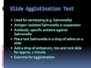  Used for serotyping (e.g. Salmonella)
 Antigen: isolated Salmonella in suspension
 Antibody: specific antisera against
Salmonella
 Place test Salmonella in a drop of saline on a
slide
 Add a drop of antiserum, mix and rock slide
for approx. 1 minute
 Examine for agglutination
 