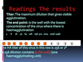  Titer:The maximum dilution that gives visible
agglutination.
 The end point: is the well with the lowest
concentration of the virus where there is
haemagglutination
2 4 8 16 32 64 128 256 512 1024 2048 4096
The HA titer of this virus in this row is 256 or 28
(1:256 dilution contains (1 HA unit) (one
haemagglutinating unit)
 