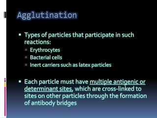  Types of particles that participate in such
reactions:
 Erythrocytes
 Bacterial cells
 Inert carriers such as latex particles
 Each particle must have multiple antigenic or
determinant sites, which are cross-linked to
sites on other particles through the formation
of antibody bridges
 