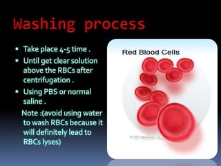  Take place 4-5 time .
 Until get clear solution
above the RBCs after
centrifugation .
 Using PBS or normal
saline .
Note :(avoid using water
to wash RBCs because it
will definitely lead to
RBCs lyses)
 