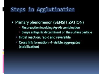  Primary phenomenon (SENSITIZATION)
 First reaction involving Ag-Ab combination
 Single antigenic determinant on the surface particle
 Initial reaction: rapid and reversible
 Cross link formation  visible aggregates
(stabilization)
 