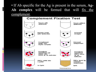 • If Ab specific for the Ag is present in the serum, Ag-
Ab complex will be formed that will fix the
complement.
 