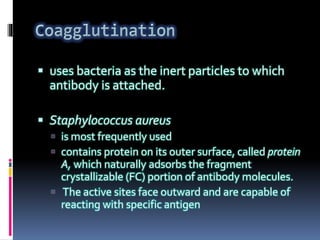  uses bacteria as the inert particles to which
antibody is attached.
 Staphylococcus aureus
 is most frequently used
 contains protein on its outer surface, called protein
A, which naturally adsorbs the fragment
crystallizable (FC) portion of antibody molecules.
 The active sites face outward and are capable of
reacting with specific antigen
 