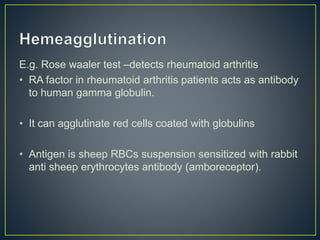 E.g. Rose waaler test –detects rheumatoid arthritis
• RA factor in rheumatoid arthritis patients acts as antibody
to human gamma globulin.
• It can agglutinate red cells coated with globulins
• Antigen is sheep RBCs suspension sensitized with rabbit
anti sheep erythrocytes antibody (amboreceptor).
 