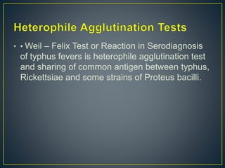 • • Weil – Felix Test or Reaction in Serodiagnosis
of typhus fevers is heterophile agglutination test
and sharing of common antigen between typhus,
Rickettsiae and some strains of Proteus bacilli.
 