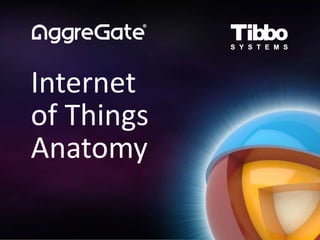 Internet
of Things
Anatomy
 