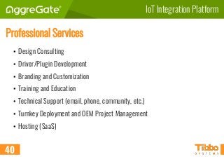 IoT Integration Platform
Professional Services
• Design Consulting
• Driver/Plugin Development
• Branding and Customization
• Training and Education
• Technical Support (email, phone, community, etc.)
• Turnkey Deployment and OEM Project Management
• Hosting (SaaS)
40
 