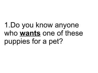 Do you know anyone who  wants  one of these puppies for a pet?  