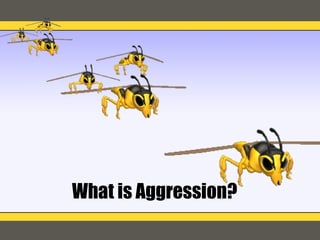 What is Aggression? 
