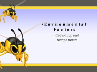 Environmental Factors Crowding and temperature 