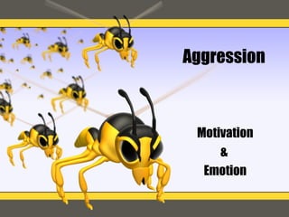 Aggression Motivation &  Emotion 