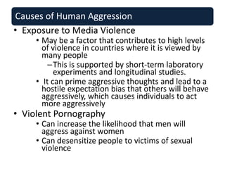 Aggression | PPTX