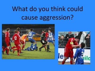 What do you think could
cause aggression?
 