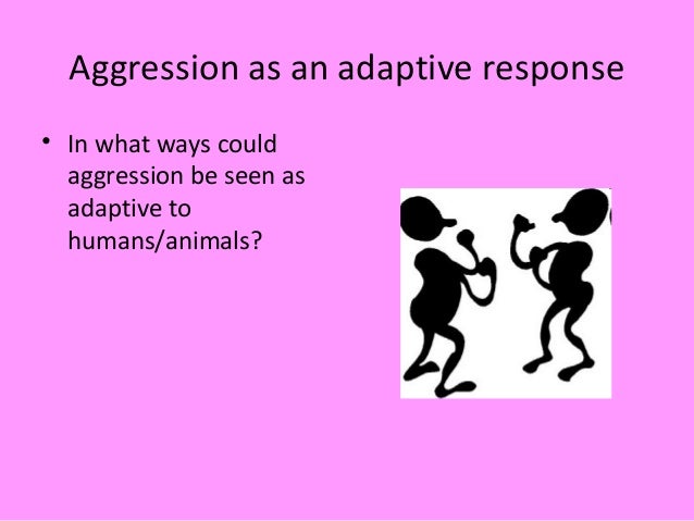 The Developmental Origins Of Physical Aggression In Humans. – FUISMA