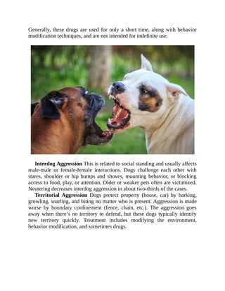 Aggression  is  the  forceful  reaction  of  a  dog #dog #dogs or #cat Slide 3