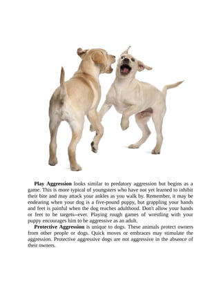 Aggression  is  the  forceful  reaction  of  a  dog #dog #dogs or #cat Slide 5
