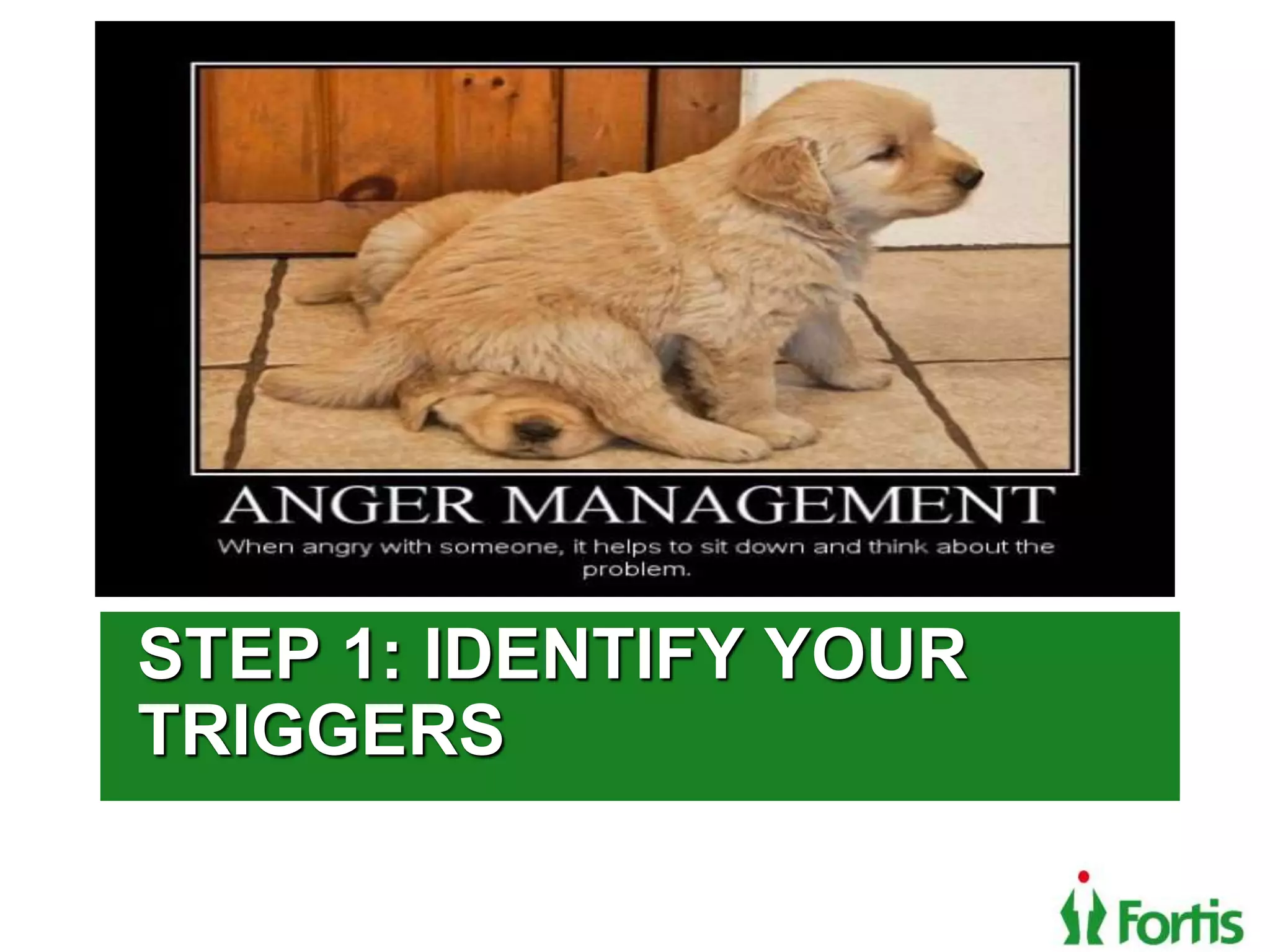 Click to edit Master title style
STEP 1: IDENTIFY YOUR
TRIGGERS
 