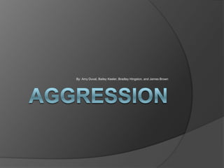 aggression By: Amy Duval, Bailey Keeler, Bradley Hingston, and James Brown 