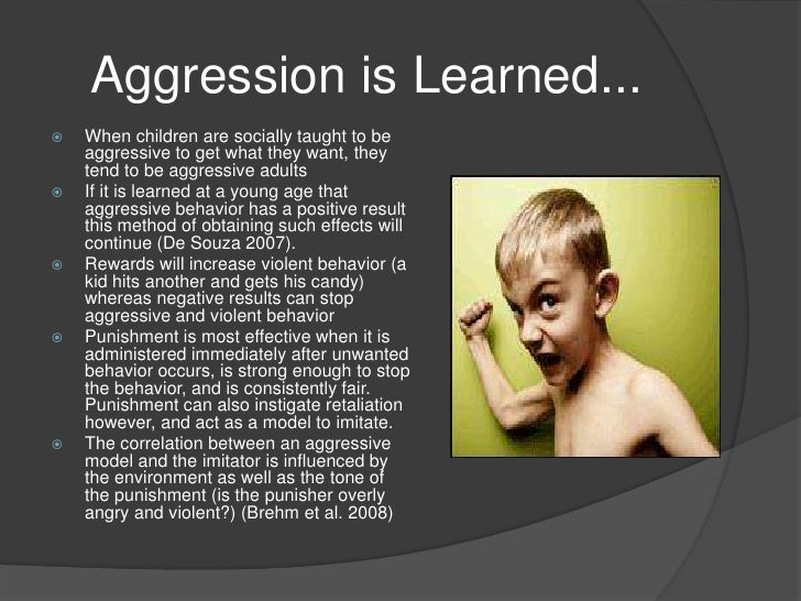 Adult Aggression 74