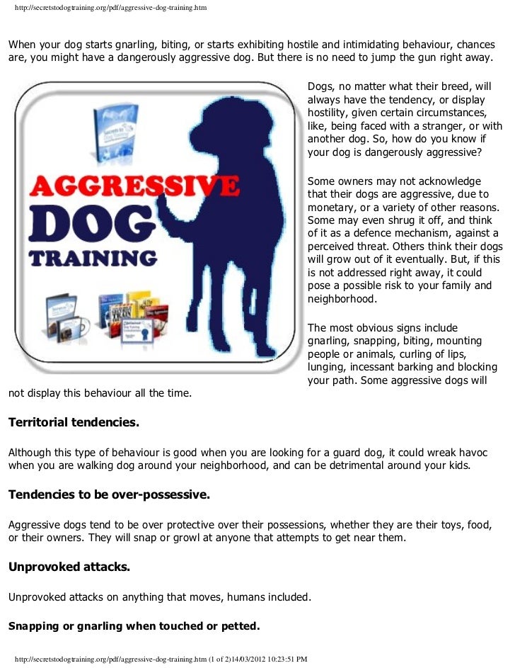 dog trainer for aggressive dogs