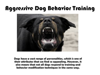 Aggressive Dog Behavior Training