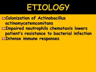 Colonization of Actinobacillus
actinomycetemcomitans
Impaired neutrophils chemotaxis lowers
patient’s resistance to bacterial infection
Intense immune responses
 