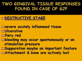 DESTRUCTIVE STAGE:
severe acutely inflammed tissue
Ulcerative
fiery red
bleeding may occur spontaneously or on
stimulation pressure
Suppuration maybe an important feature
Attachment & bone are actively lost
 