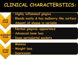 ACUTE
PHASE
• Highly inflammed gingiva
• Bleeds easily & has mulberry like surface
• Amount of plaque is variable
QUIESCENT
PHASE
• Normal gingivaL appearance
• Advanced bone loss
• Deep periodontal pockets
ACTIVE
PHASE
• Malaise
• Weight loss
• Depression
 