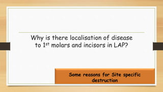 Why is there localisation of disease
to 1st molars and incisors in LAP?
Some reasons for Site specific
destruction
 