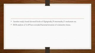 • Another study found elevated levels of P.gingivalis, P. intermedia, F. nucleatum etc.
• SEM analysis of LAP have revealed bacterial invasion of connective tissue.
 