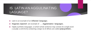 AGGULTINATING.pdf
