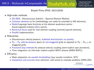 Aghora A High-Order DG Solver for Turbulent Flow Simulations.pdf
