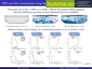 Aghora A High-Order DG Solver for Turbulent Flow Simulations.pdf