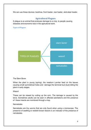 8
We can use these devices: backhoe, front loader, rear loader, skid-steer loader.
Agricultural Plagues
A plague is an animal that produces damage to a crop, to people causing
diseases and economic loss in the agricultural work.
Types of Plagues
The Stem Borer
When the plant is young (spring), the newborn Larvitar feed on the leaves
causing small symmetrical holes and damage the terminal bud (bud) killing the
plant in early stages.
Weevil
These can be viewed by cutting up the corn. The damage is caused by the
larva. Sometimes adults can be seen in affected plantations and the presence
of these insects are monitored through a trap.
Nematodes
Nematodes are tiny worms that are only found when using a microscope. The
presence of swelling or reddish-brown lesions is an indicator of the presence of
nematodes.
TYPES OF PLAGUES
stem borer
weevil
nematodes
 