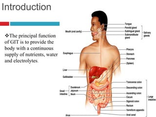 Introduction 
3 Figure 23.2 
The principal function 
of GIT is to provide the 
body with a continuous 
supply of nutrients, water 
and electrolytes. 
 