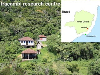 Iracambi research centre 