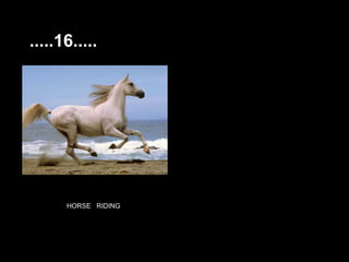 .....16.....




      HORSE RIDING
           HORSE
 