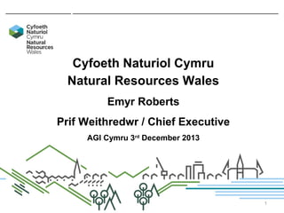 Cyfoeth Naturiol Cymru
Natural Resources Wales
Emyr Roberts
Prif Weithredwr / Chief Executive
AGI Cymru 3rd December 2013

1

 