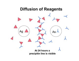 Diffusion of Reagents




Ag                         As




          At 24 hours a
     precipitin line is visible
 