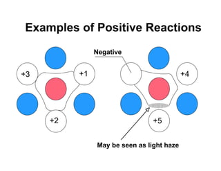 Examples of Positive Reactions
               Negative


+3        +1                               +4




     +2                         +5


               May be seen as light haze
 