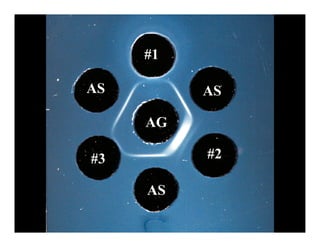 #1

AS        AS

     AG

#3        #2

     AS
 